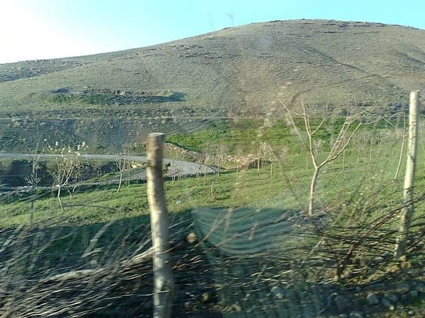 From Smuggled Sheep to Border Security: Tracing the Fires in Kurdistan’s Wilderness